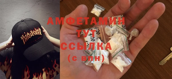 шишки Абаза