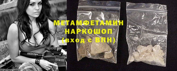 шишки Абаза