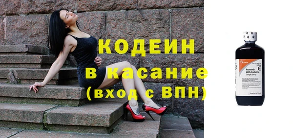 шишки Абаза