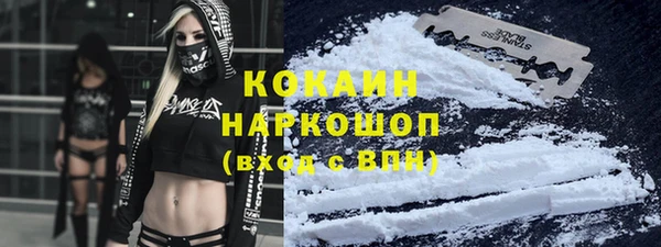 шишки Абаза