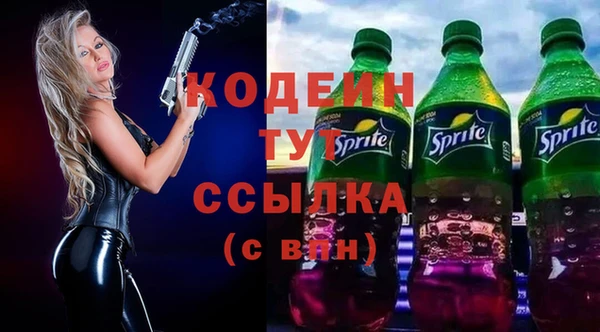 шишки Абаза