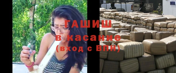 шишки Абаза