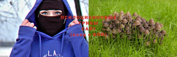 дурь Алексеевка